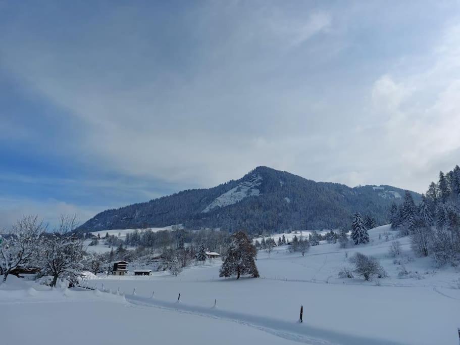 Appartamento Di Charme Praz-sur-Arly Exterior photo