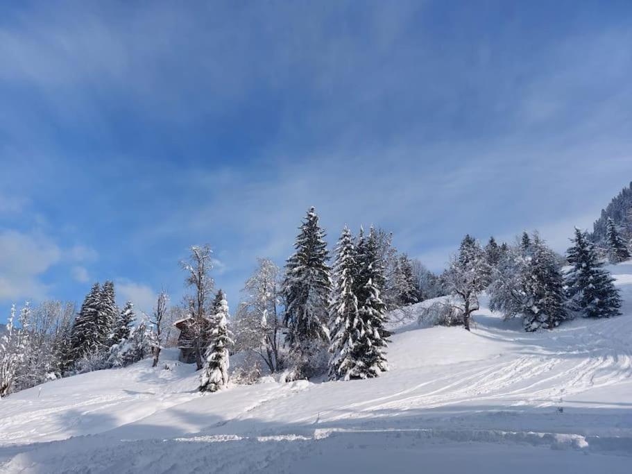 Appartamento Di Charme Praz-sur-Arly Exterior photo